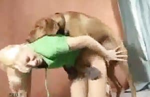 Thằng khốn chó tóc vàng