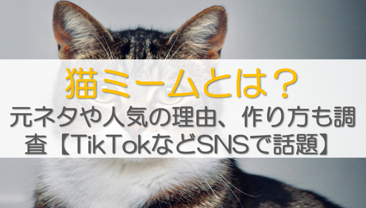 猫ミームとは？元ネタや人気の理由、作り方も調査【TikTokなどSNSで話題】
