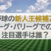 プロ野球の新人王候補2024！セリーグ・パリーグでの若手注目選手は誰？