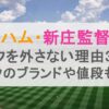 新庄監督がマスクを外さない理由3選！マスクのブランドや値段も調査