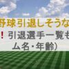 プロ野球引退しそうな選手2024！引退選手一覧も(チーム名・年齢)